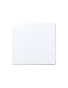 Cruzamiento ancho Simon 27251