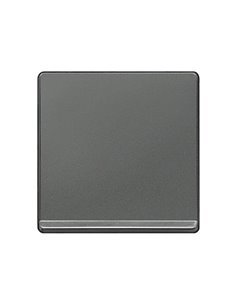 Tecla simple cromada carbono metalizado Siemens Delta Miro 5TG6270-5CC00 