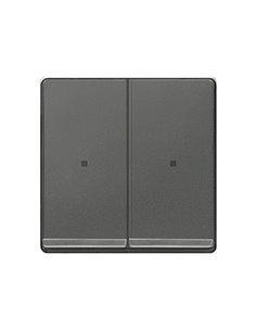 Tecla doble cromada con difusor carbono metalizado Siemens Delta Miro, 5TG6270-1CC01