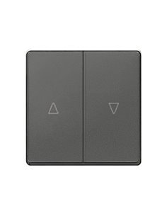 Teclas dobles persianas carbono metalizado Siemens Delta Miro 5TG6276-5CM00