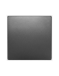 Tecla simple antracita cosso Siemens Delta Style, 5TG7270-5AC00