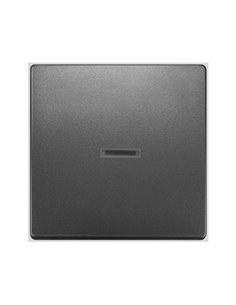 Tecla simple con difusor antracita cosso Siemens Delta Style, 5TG7270-5AC01