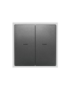 Tecla doble con difusor antracita cosso Siemens Delta Style, 5TG7270-1AC01