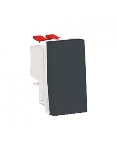 Cruzamiento Estrecho New Unica Antracita NU310554